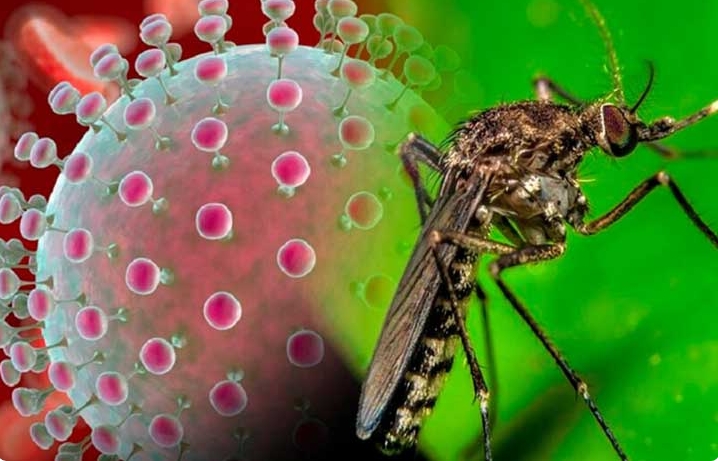 Imagen: Tomada de TV Yumurí